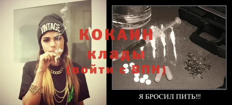 Cocaine FishScale  это состав  Рыльск  продажа наркотиков 